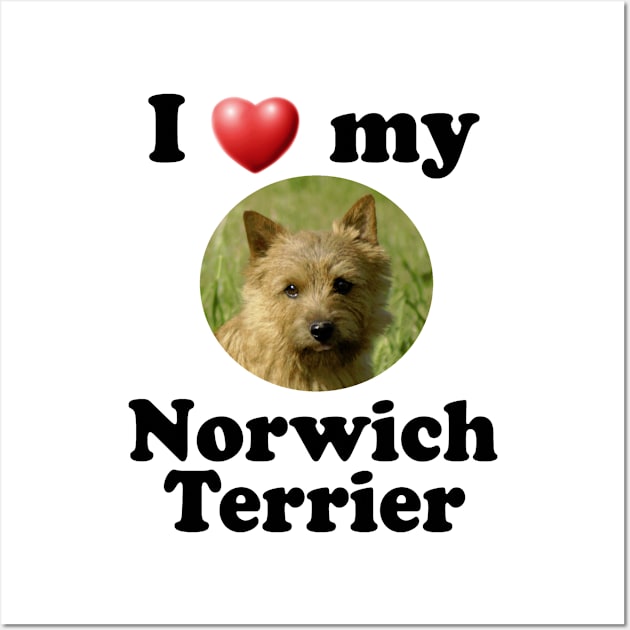 I Love My Norwich Terrier Wall Art by Naves